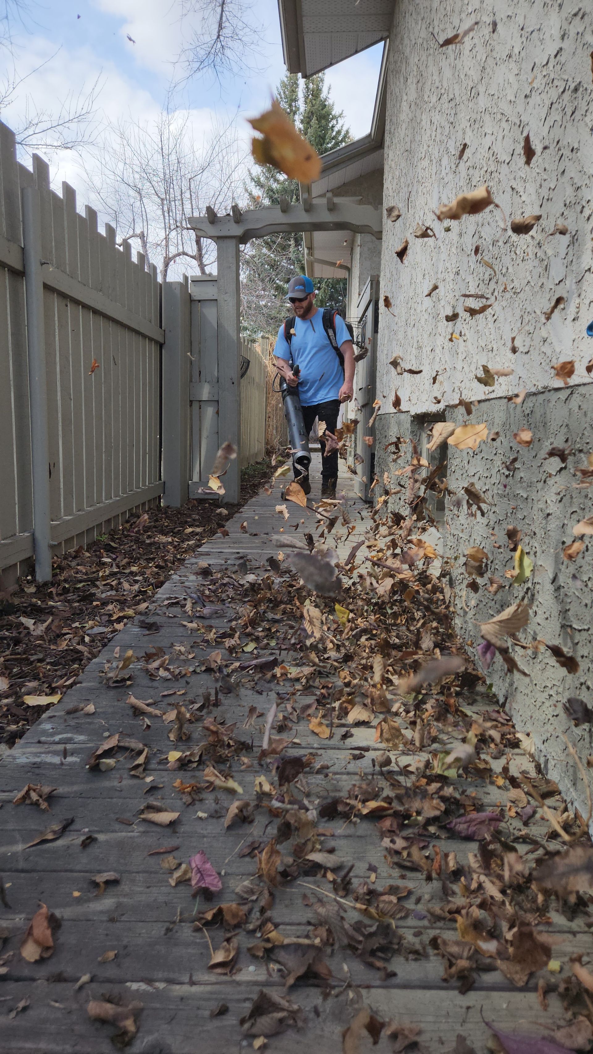 A person in a blue shirt uses a leaf blower to clear brown, fallen leaves from a wooden walkway beside a building.