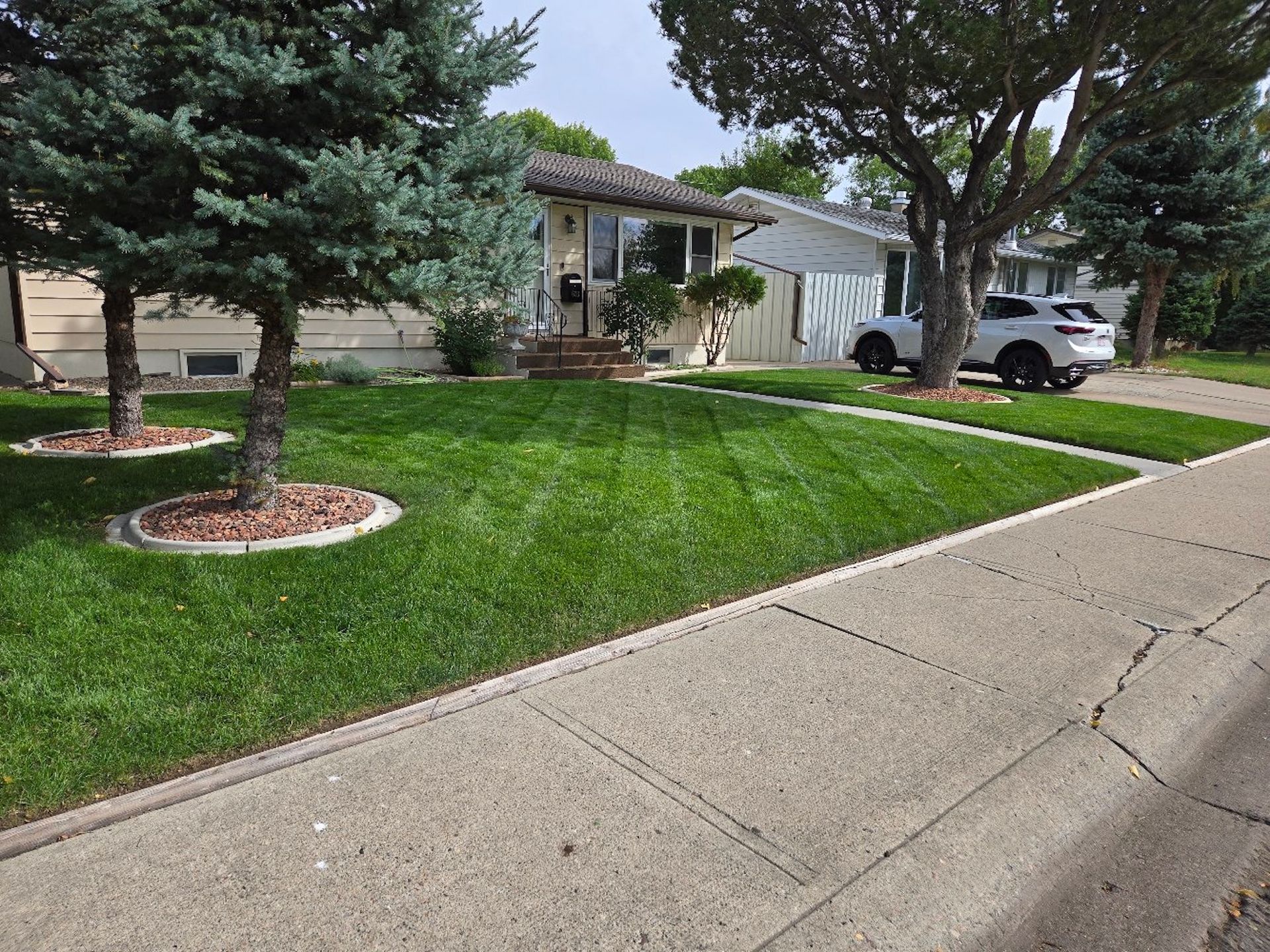 Suburban house with green lawn, large trees, and a driveway with parked cars