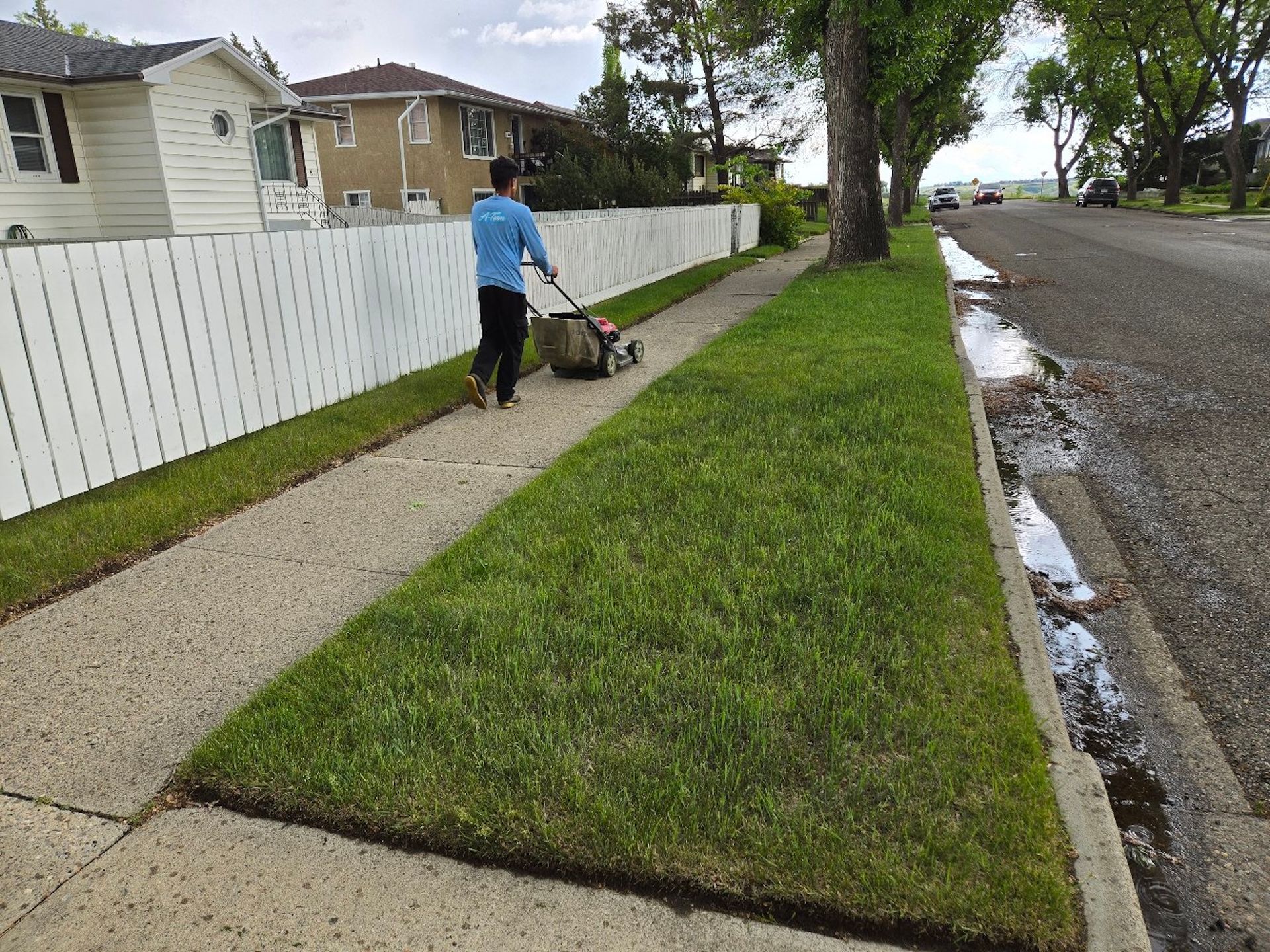 A person pushes a lawnmower along a suburban concrete sidewalk beside a white fence and a patch of green grass.
