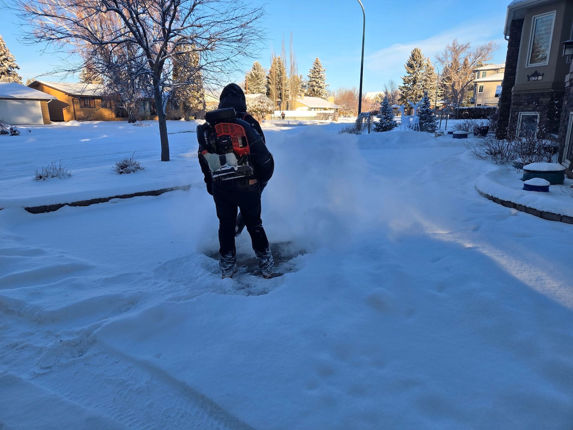 A person with a backpack leaf blower clears fresh snow from a suburban driveway. A person with a backpack leaf blower clears fresh snow from a suburban driveway.