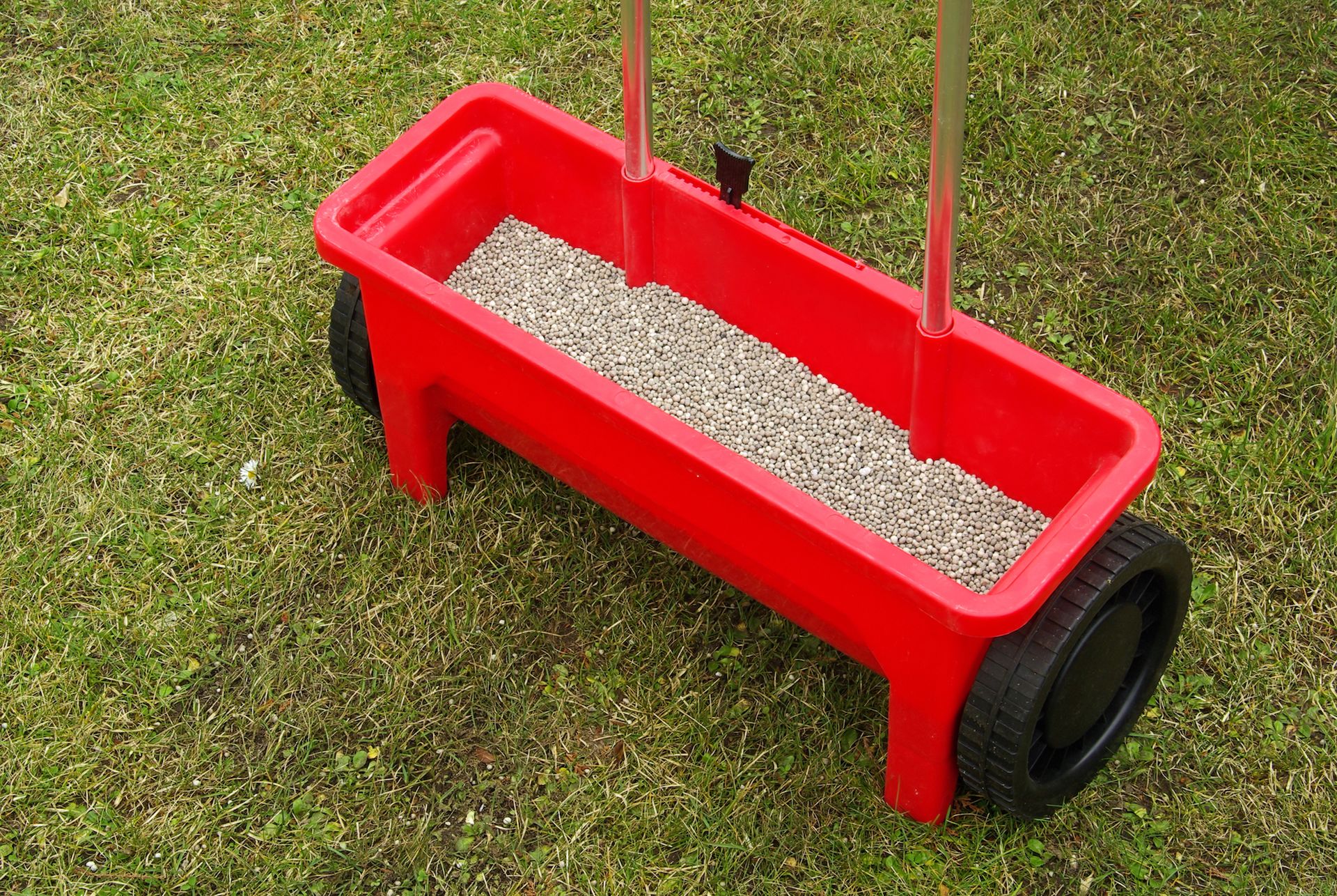 A red drop spreader filled with fertilizer granules.