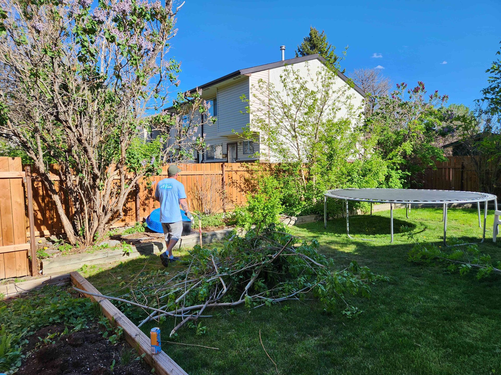 A person in a blue shirt walks through a sunny backyard featuring a wooden fence, green trees, and a large trampoline.