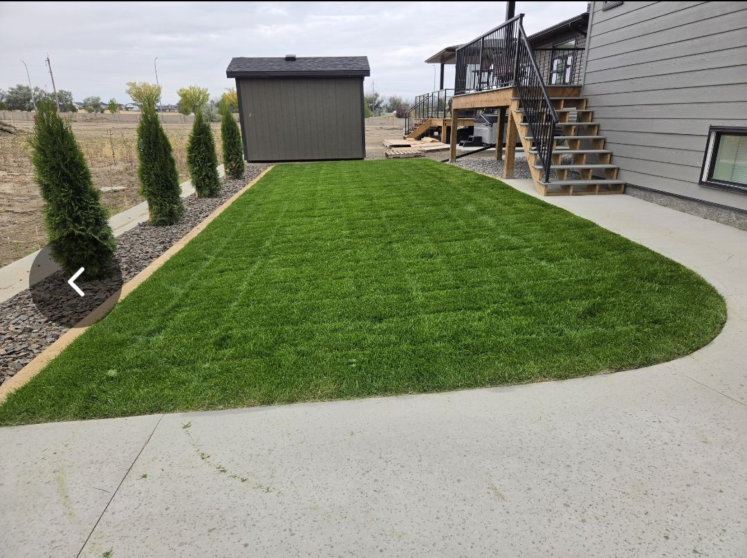 Backyard with a curved green lawn, concrete path, small shed, and stairs beside a house