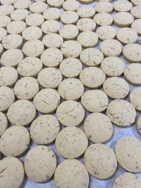 Rows of beige, round cookies with speckled dark flecks, arranged on a surface, likely a baking sheet.