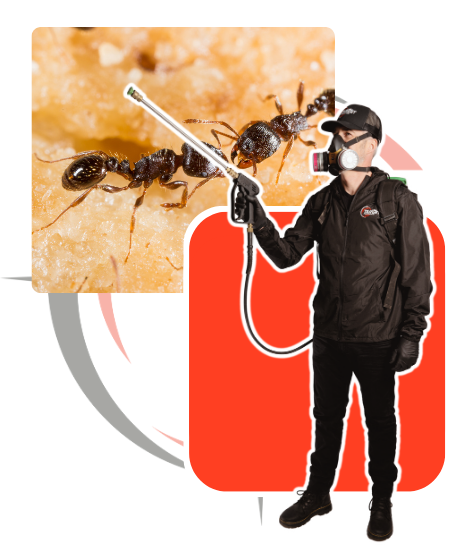 a man wearing a gas mask is spraying an ant with a sprayer .