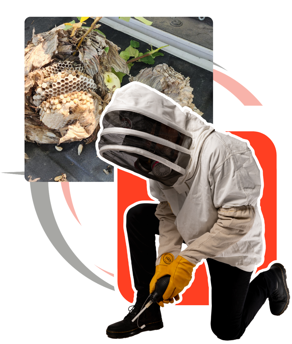 A man in a bee suit is kneeling next to a wasp nest