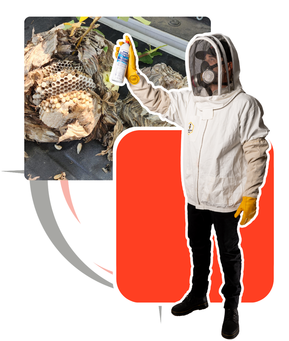 A man in a bee suit is spraying something with a spray bottle
