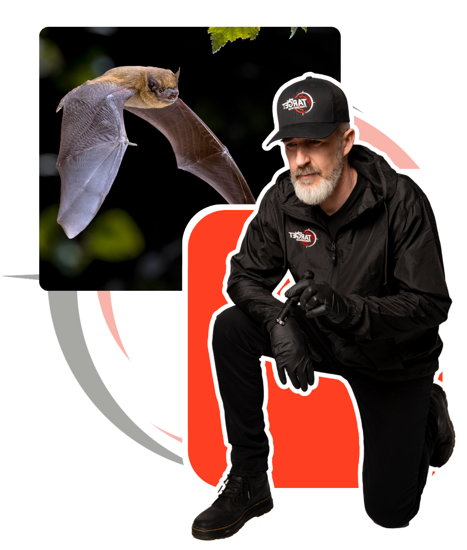 A man is kneeling in front of a picture of a bat