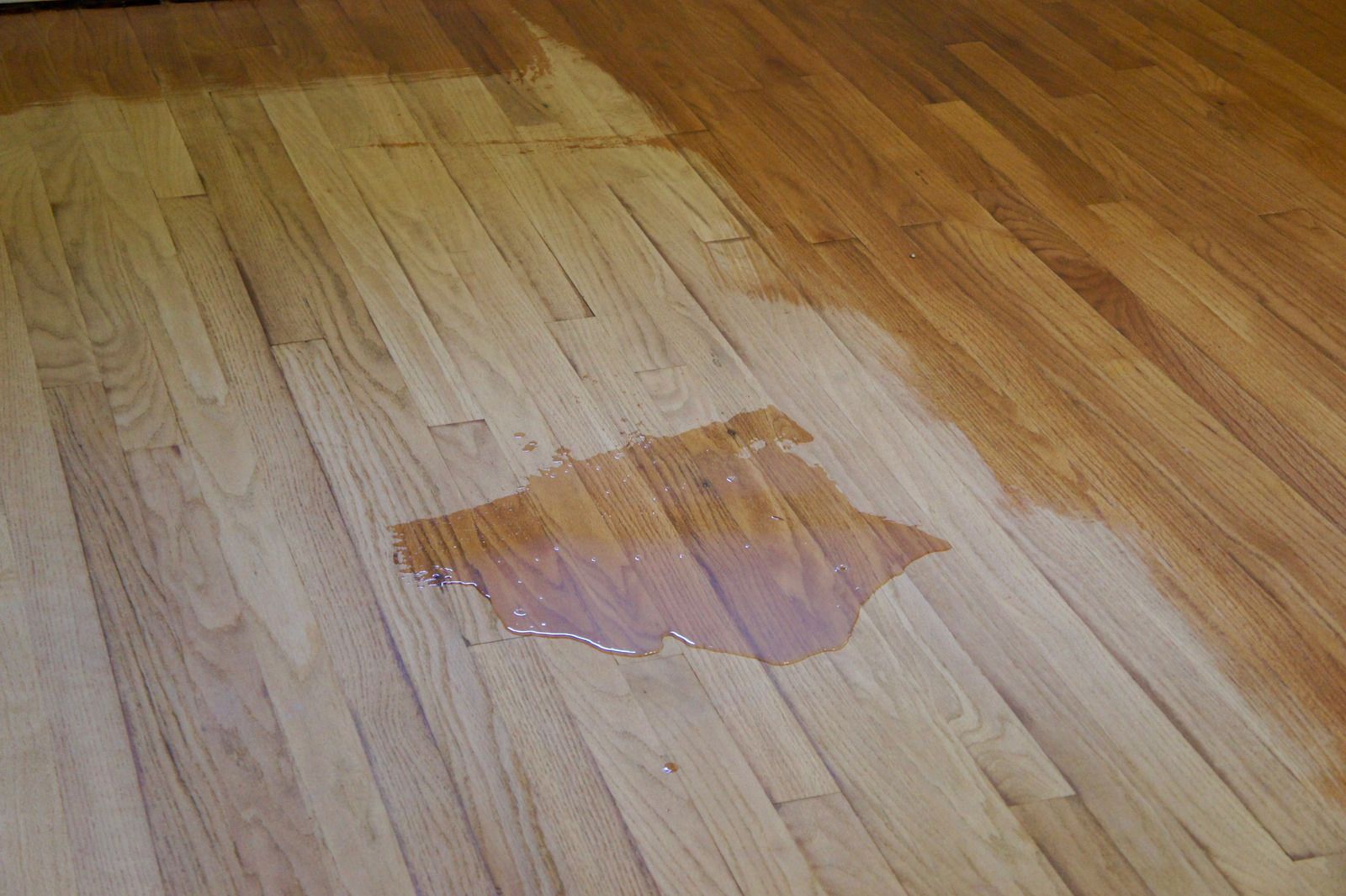 Water stain on a light wood floor with discolored planks around it