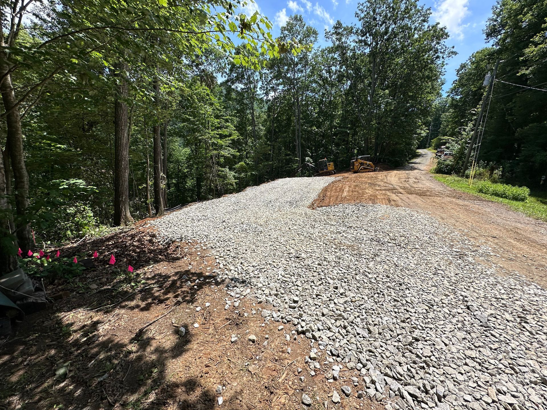 A gravel driveway curves uphill through a sunlit, wooded area with trees on both sides and pine needles on the ground.