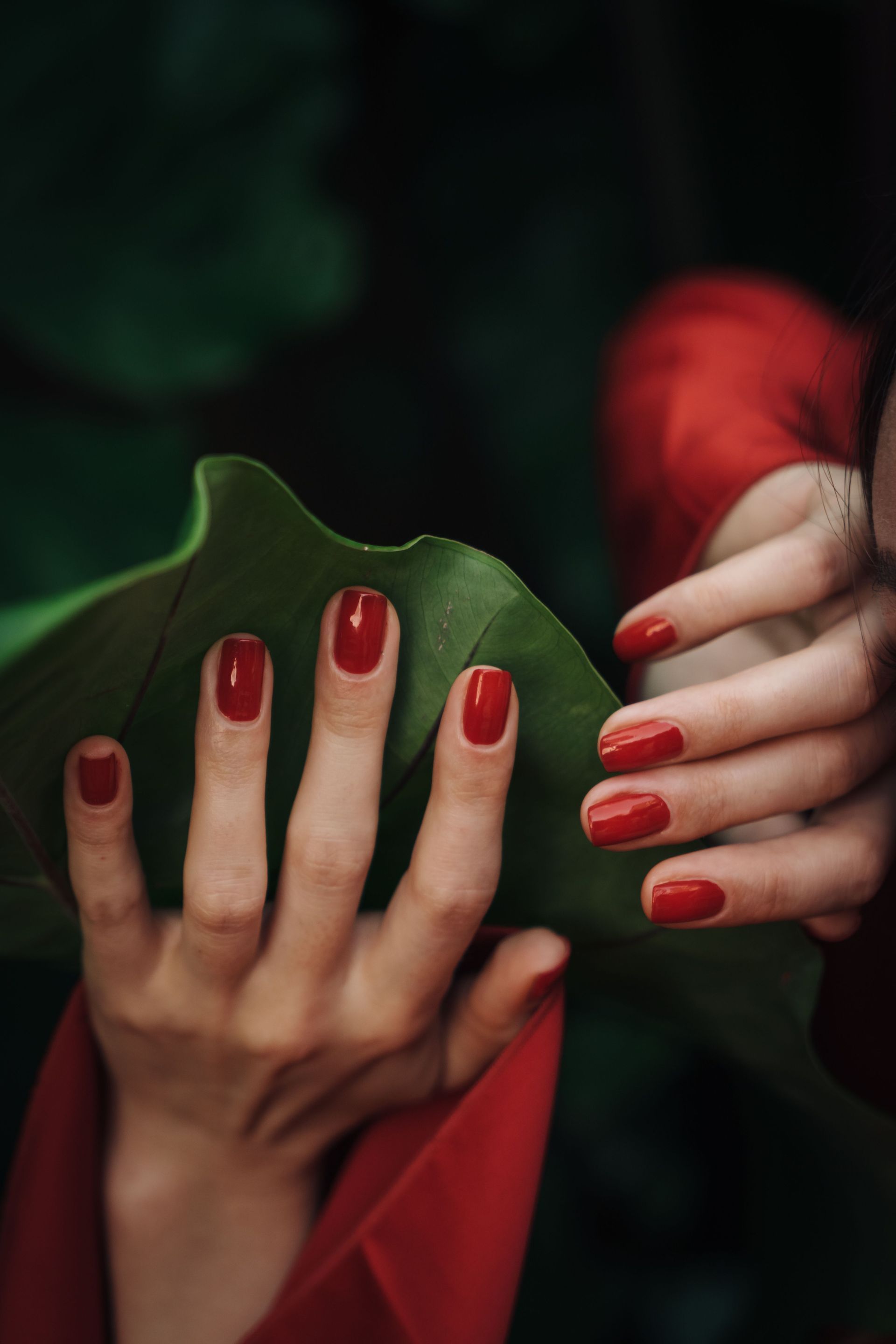 Hands with red nails holding a green leaf and red fabric against a dark background