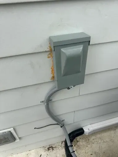 Gray electrical box and conduit attached to a light gray house siding.