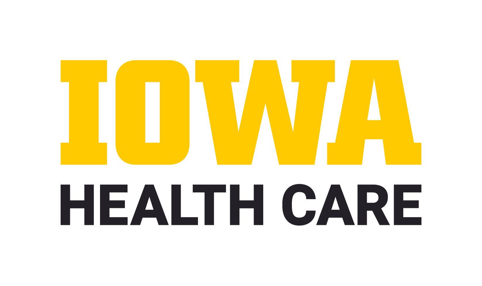 Iowa's University Center for Excellence in Developmental Disabilities (UCEDD)