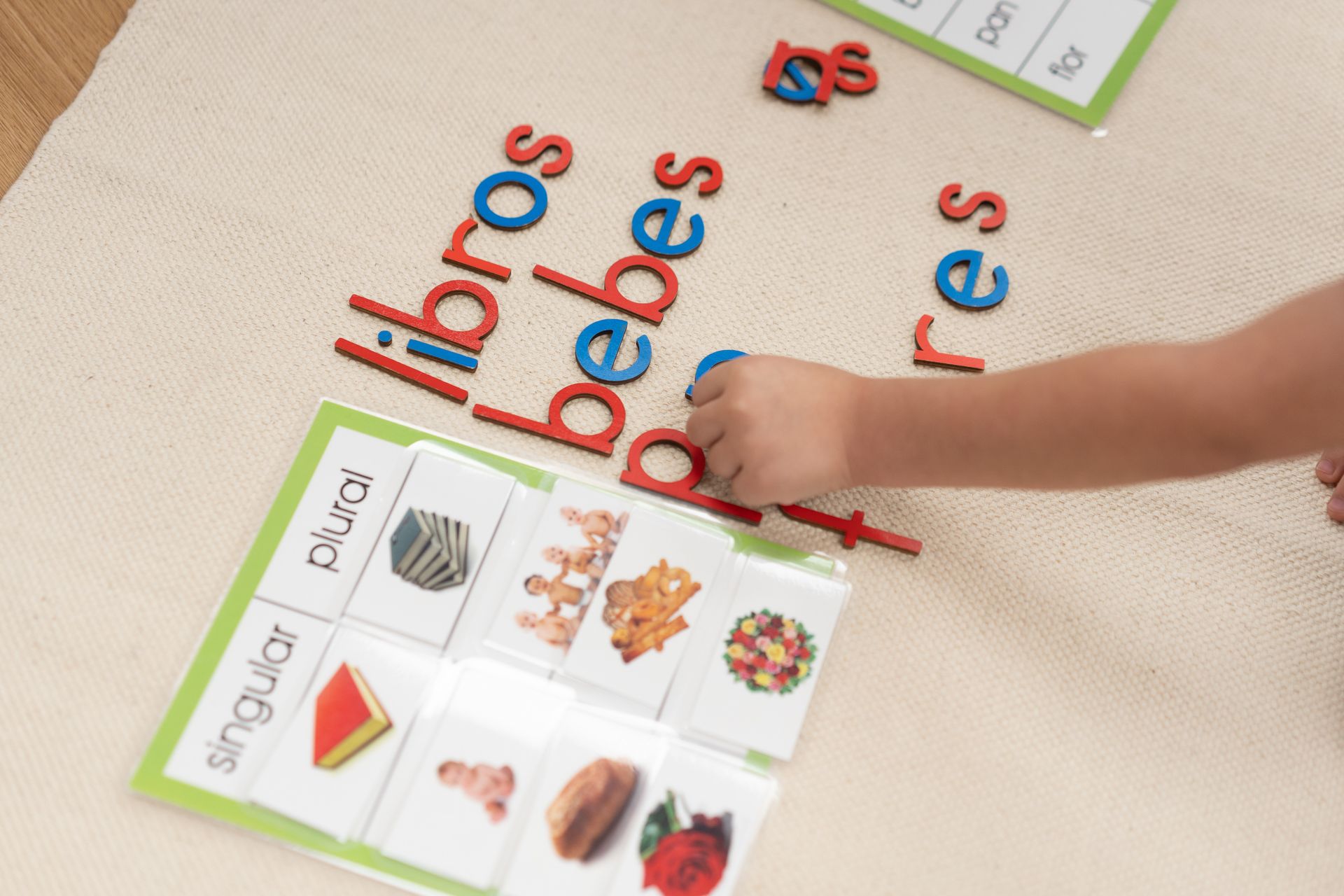 Enrichment | Miami Shores Montessori School