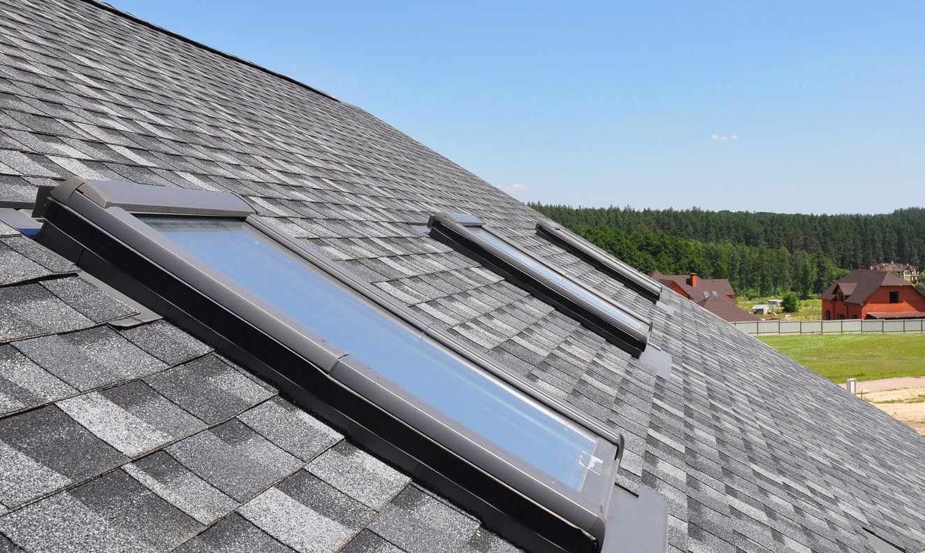 Skylight & Velux