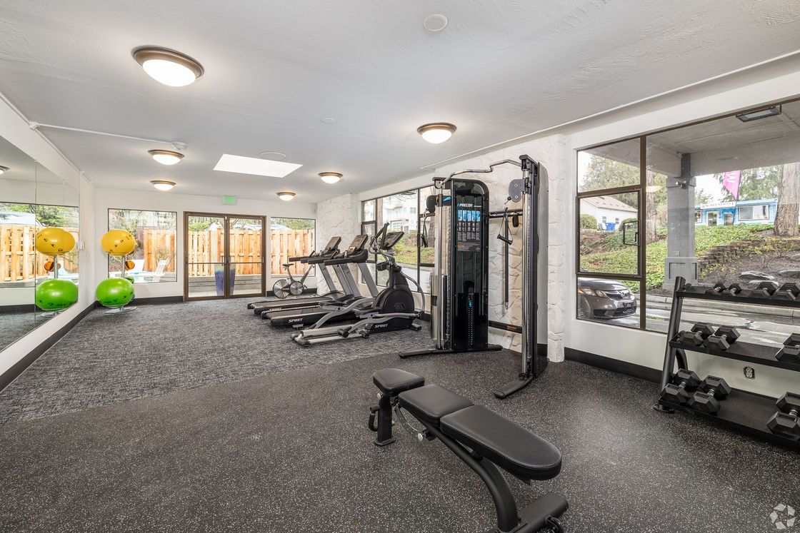 Bright apartment gym with treadmills, strength machines, and floor-to-ceiling windows