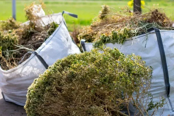 Removing yard debris and branches from a residential property.