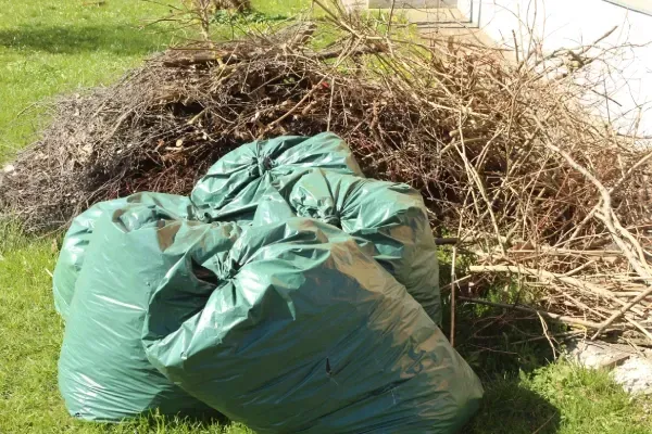 Professional yard waste cleanup service.