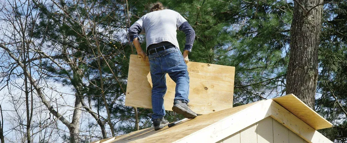 what to know before removing an old shed in indianapolis