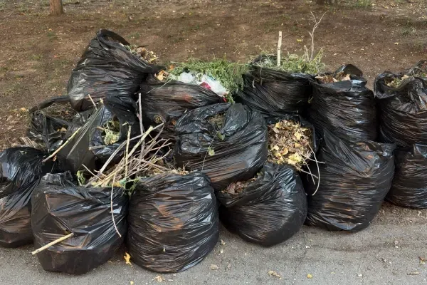 Yard waste removal service in Indianapolis, IN.
