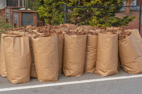 yard waste removal solutions in indianapolis in