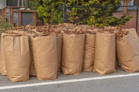 yard waste removal solutions in indianapolis in
