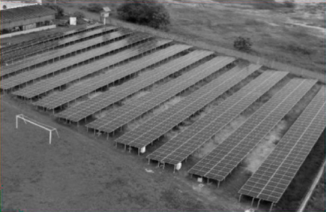 Una vista aérea de una fila de paneles solares en un campo.