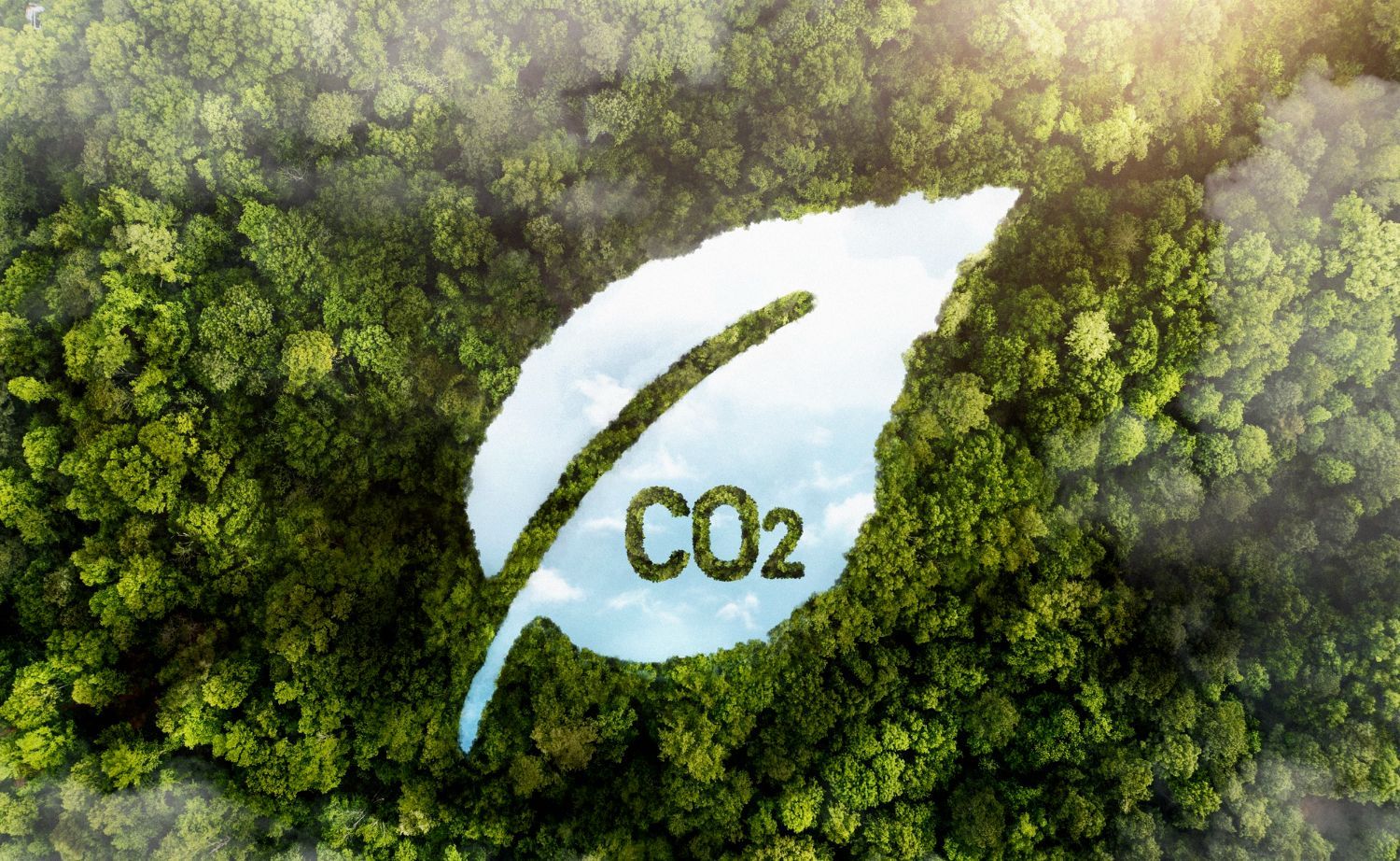 Huella de carbono en empresas