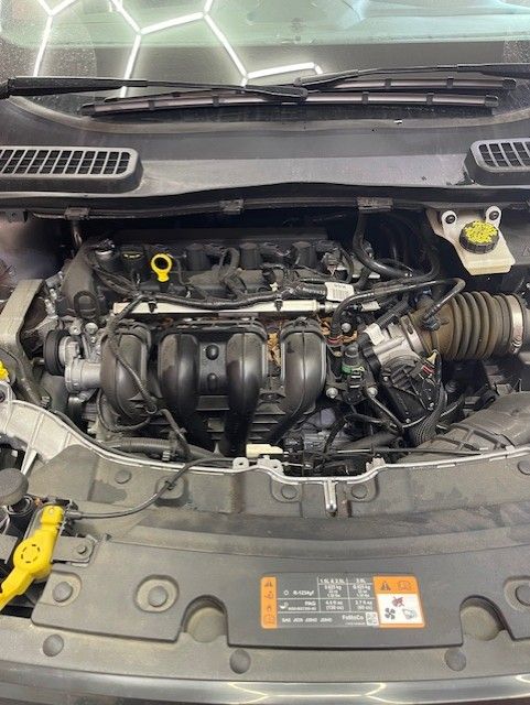 2019 Escort engine bay detail before