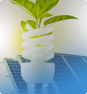 SUSTENTABILIDADE