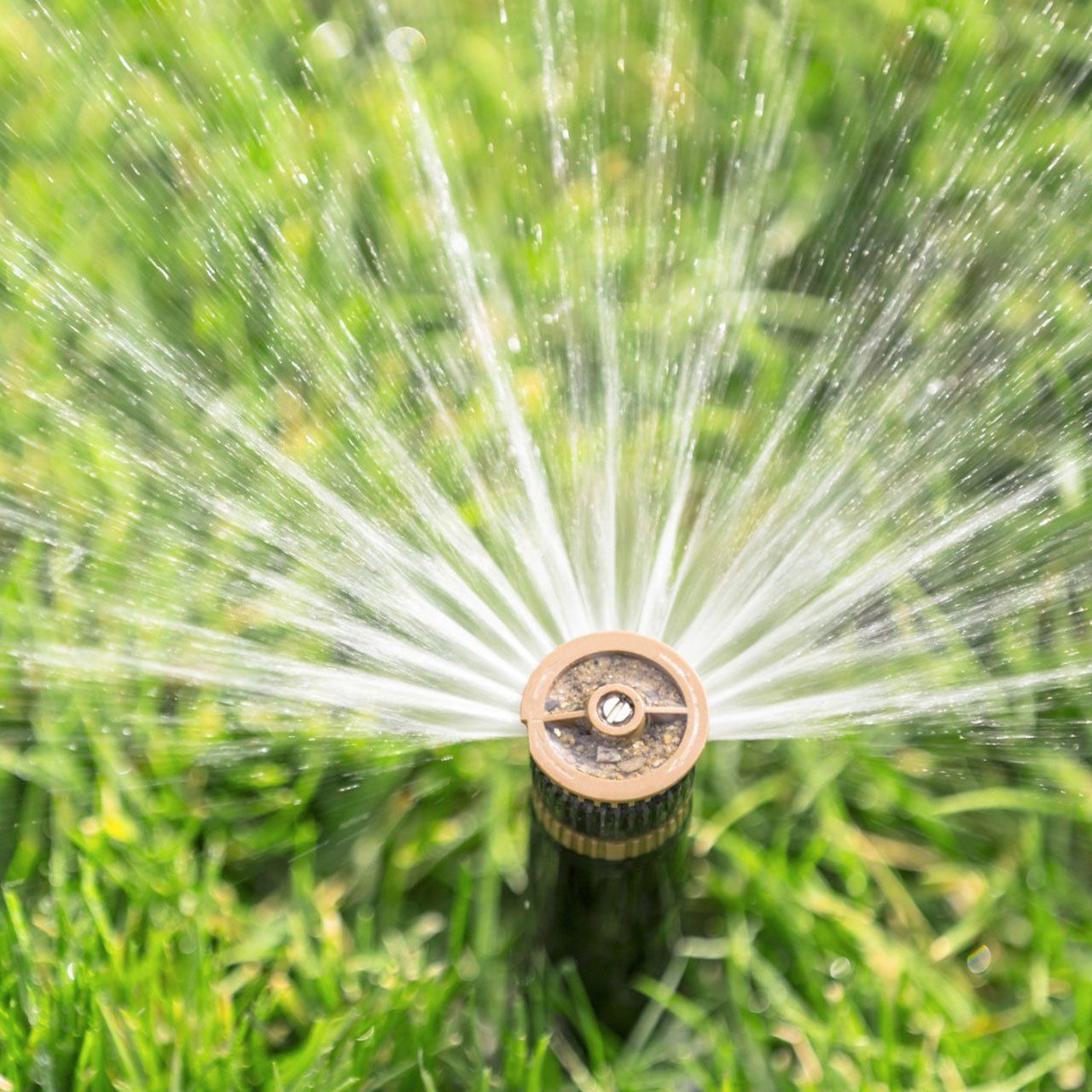 Automatic Sprinkler Watering Fresh Lawn — Ruffin, SC — Lane’s Well & Septic Automatic Sprinkler Watering Fresh Lawn — Ruffin, SC — Lane’s Well & Septic