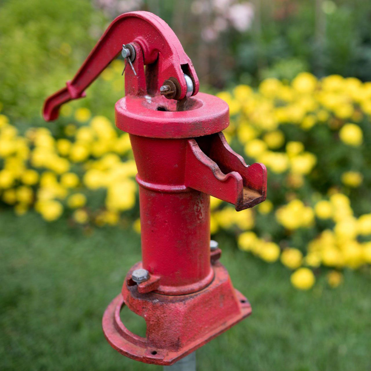 Water Pump in Flower Garden — Ruffin, SC — Lane’s Well & Septic Water Pump in Flower Garden — Ruffin, SC — Lane’s Well & Septic