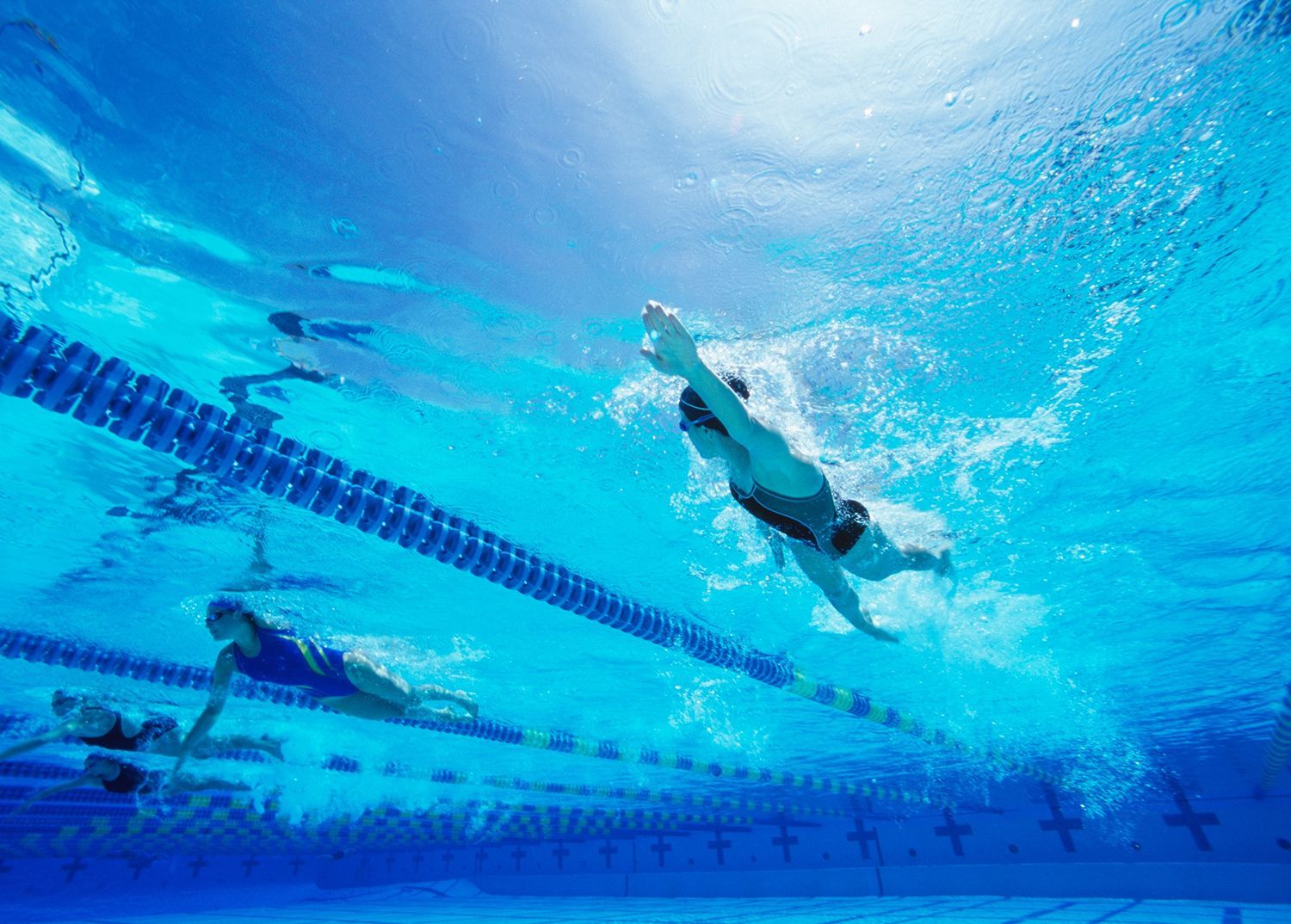 Swimmers racing underwater in a blue swimming pool, seen from below lane lines