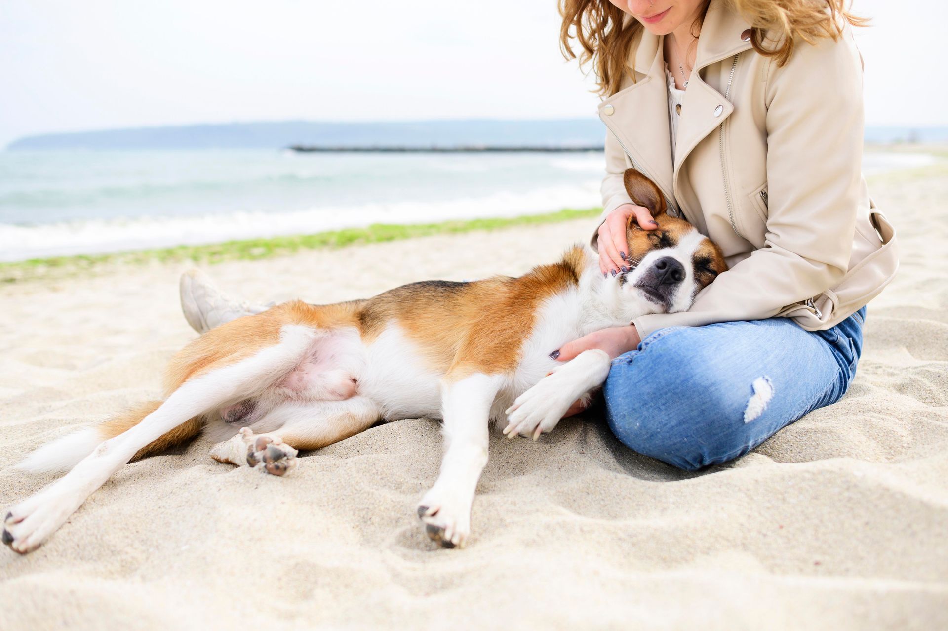 Woman kneels on a sandy beach petting a relaxed dog near the shoreline.
