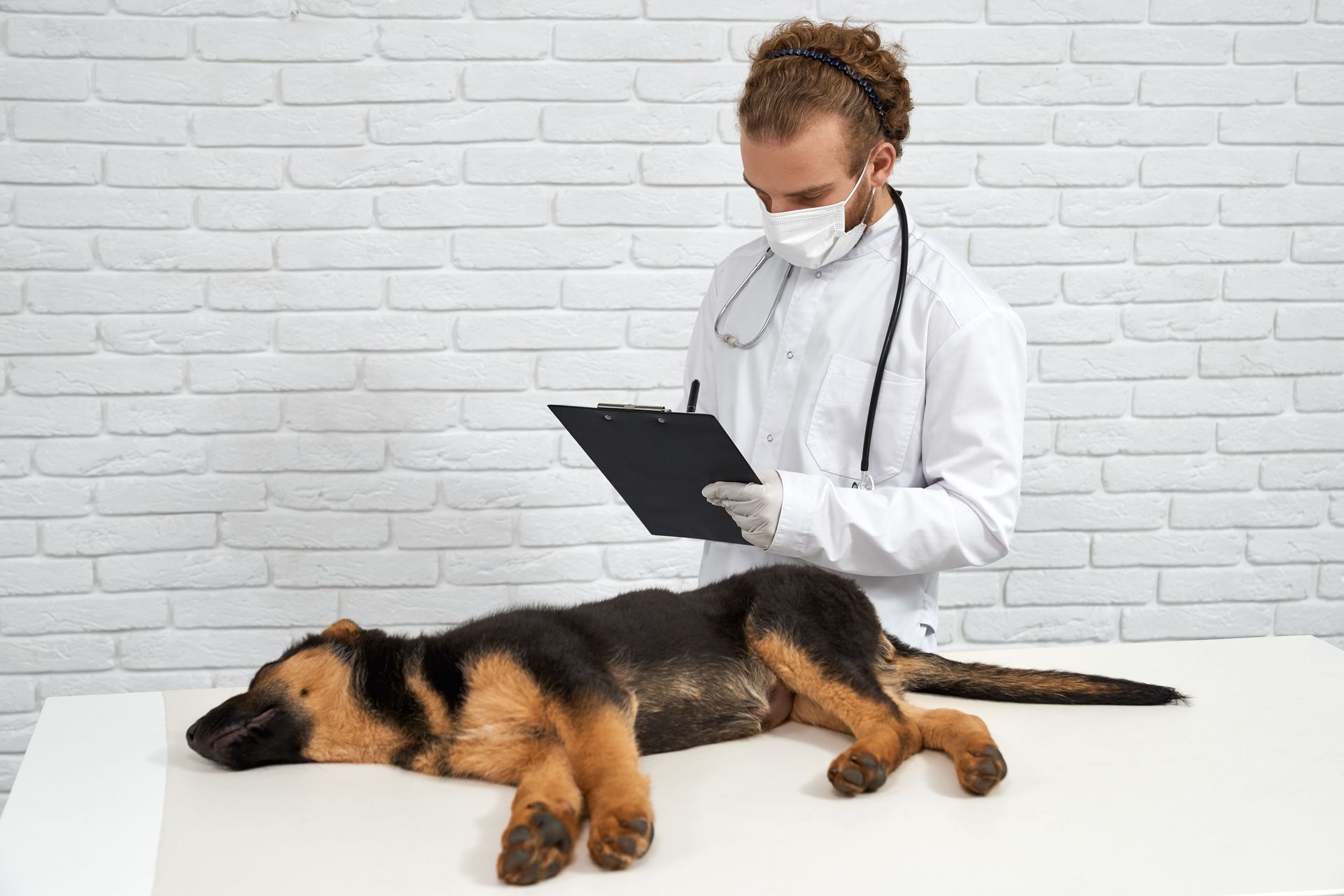 Veterinarian in a mask examining a dog lying on an exam table with a clipboard