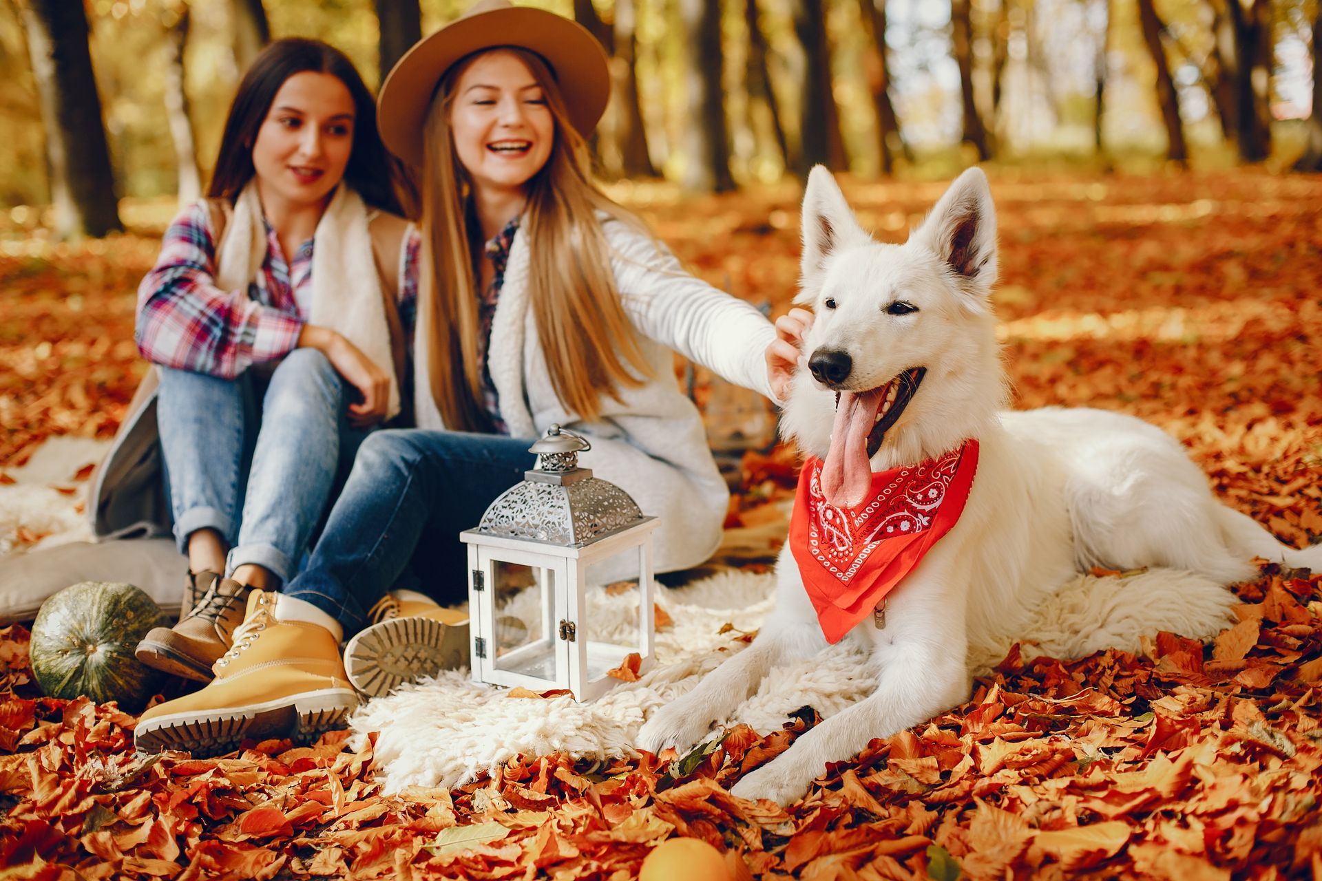 pet owners with dog outdoors in fall park