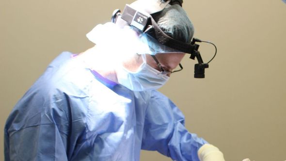 Veterinary Surgeon Performing Operation at Auburn Bay Animal Hospital Calgary AB