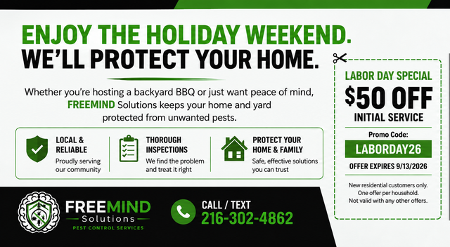 Holiday home security ad with green and white text, $50 off offer, and FreeMind logo with phone number