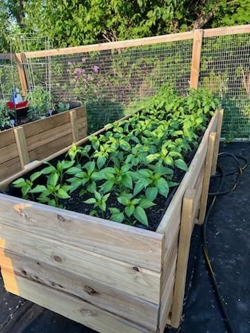 A wooden planter filled with lots of green plants.