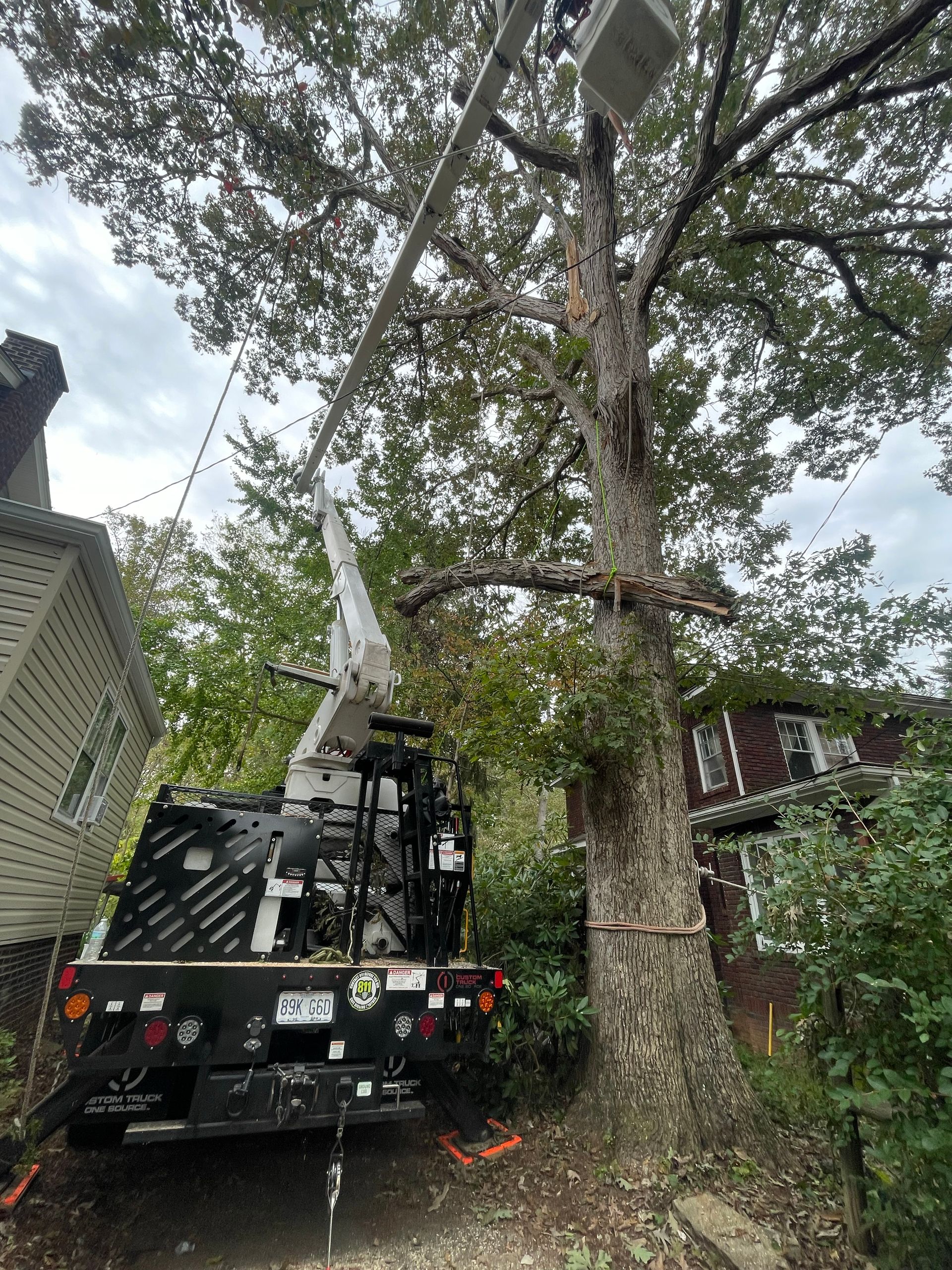 Tree removing equipment in use.