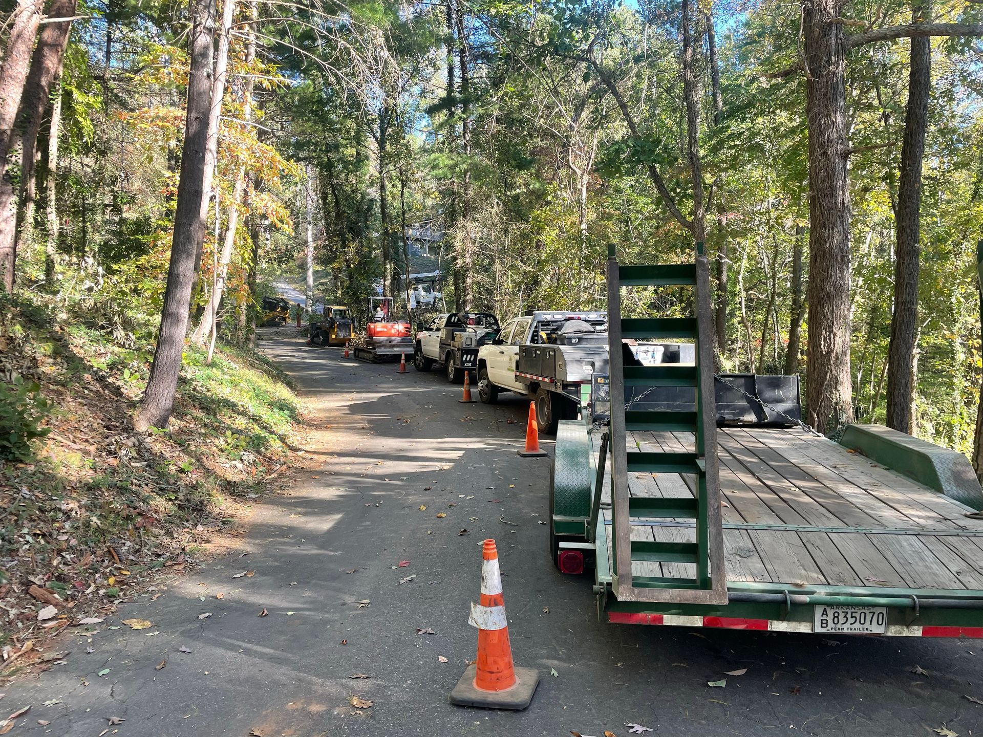Area being blocked off for tree removal.