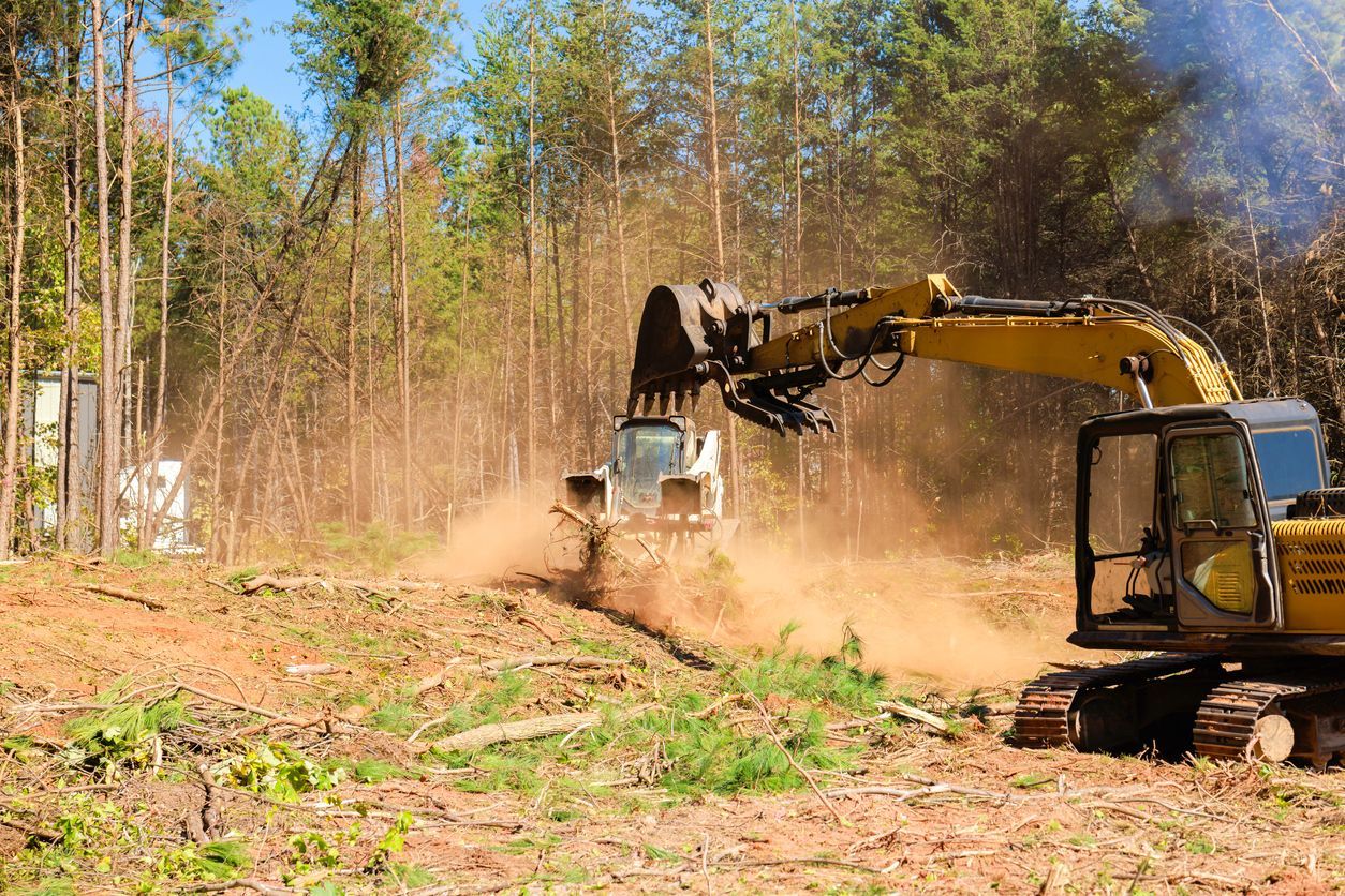 Excavator clearing trees in a dusty wooded area, with another machine in the background.