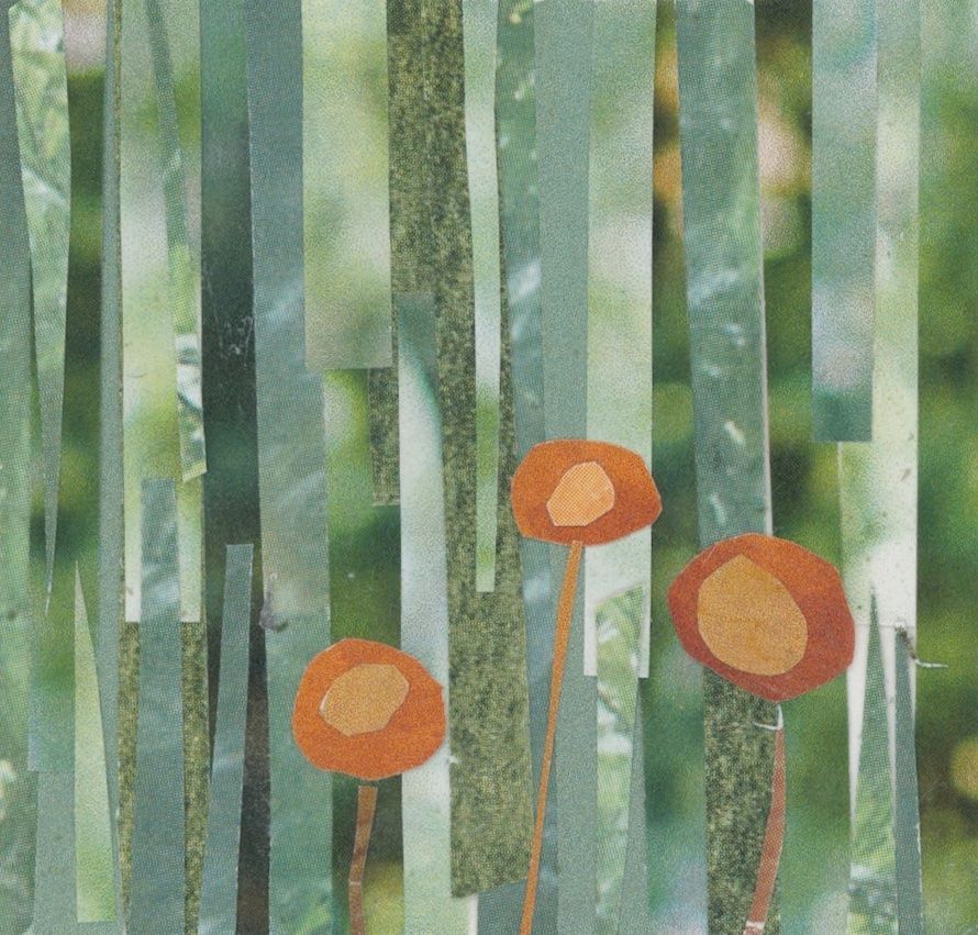 Orange flowers with brown stems against a striped green background.