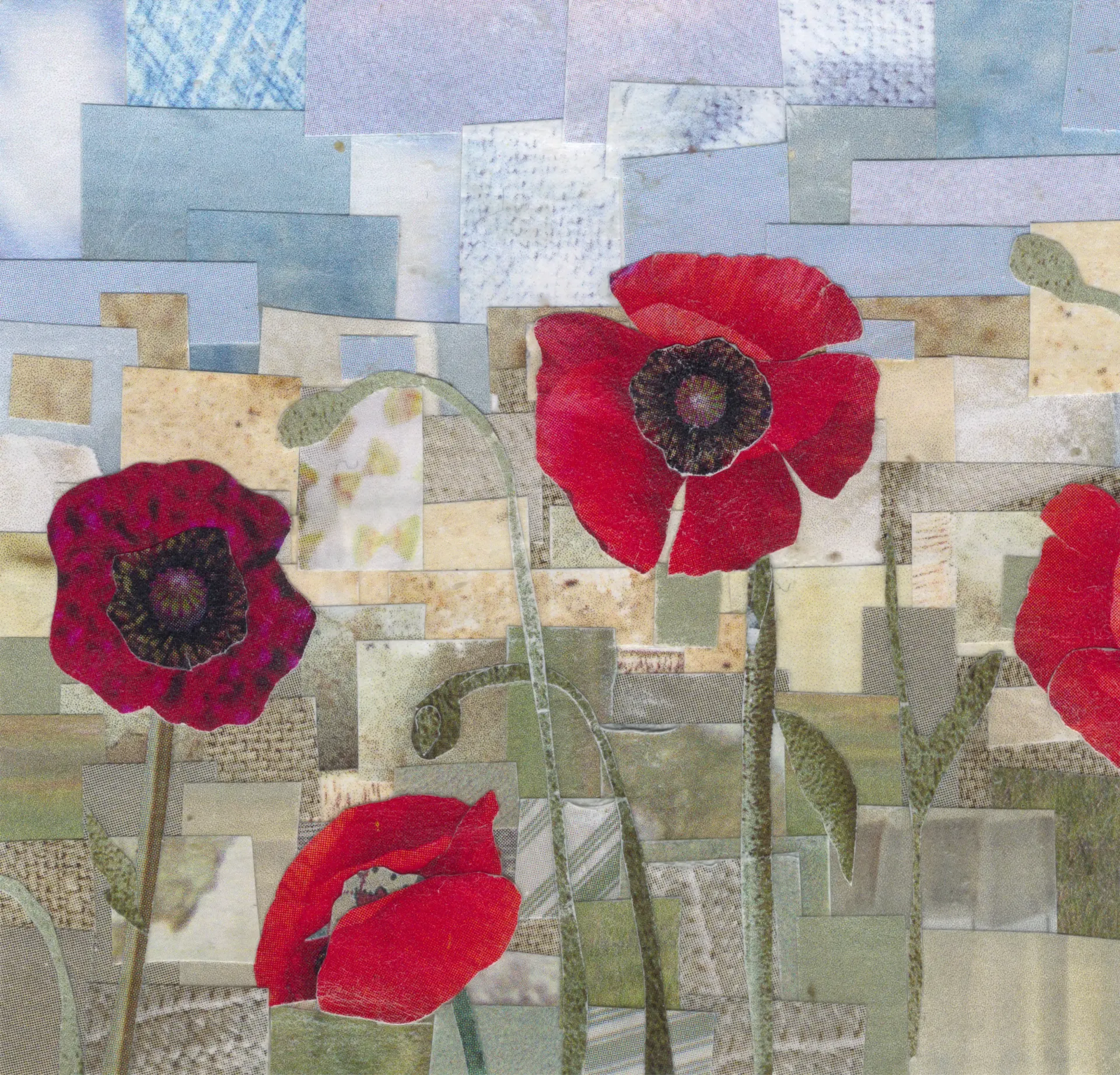 White daisies with yellow centers against a green background, vertical strips of paper overlaid.