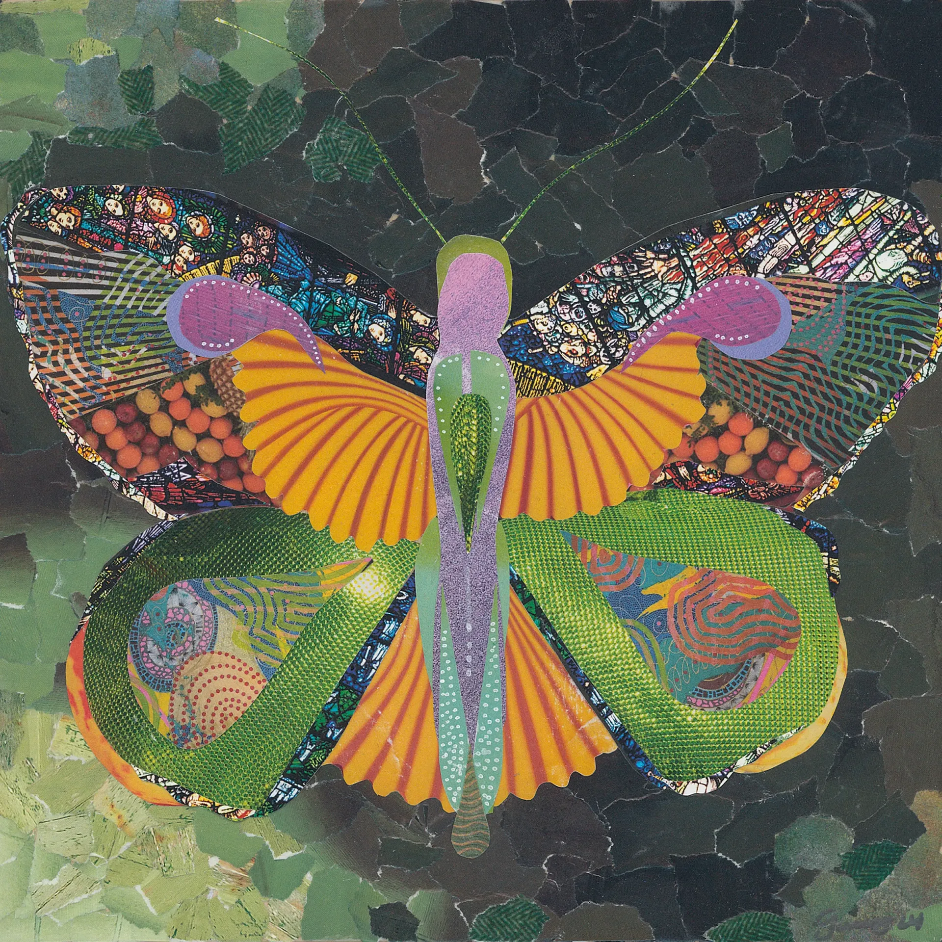 Collage of a colorful butterfly with detailed wings against a leafy green background.
