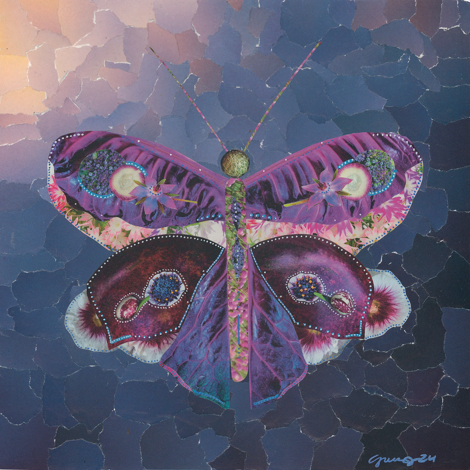 Purple butterfly collage on dark blue background with pink and white details.