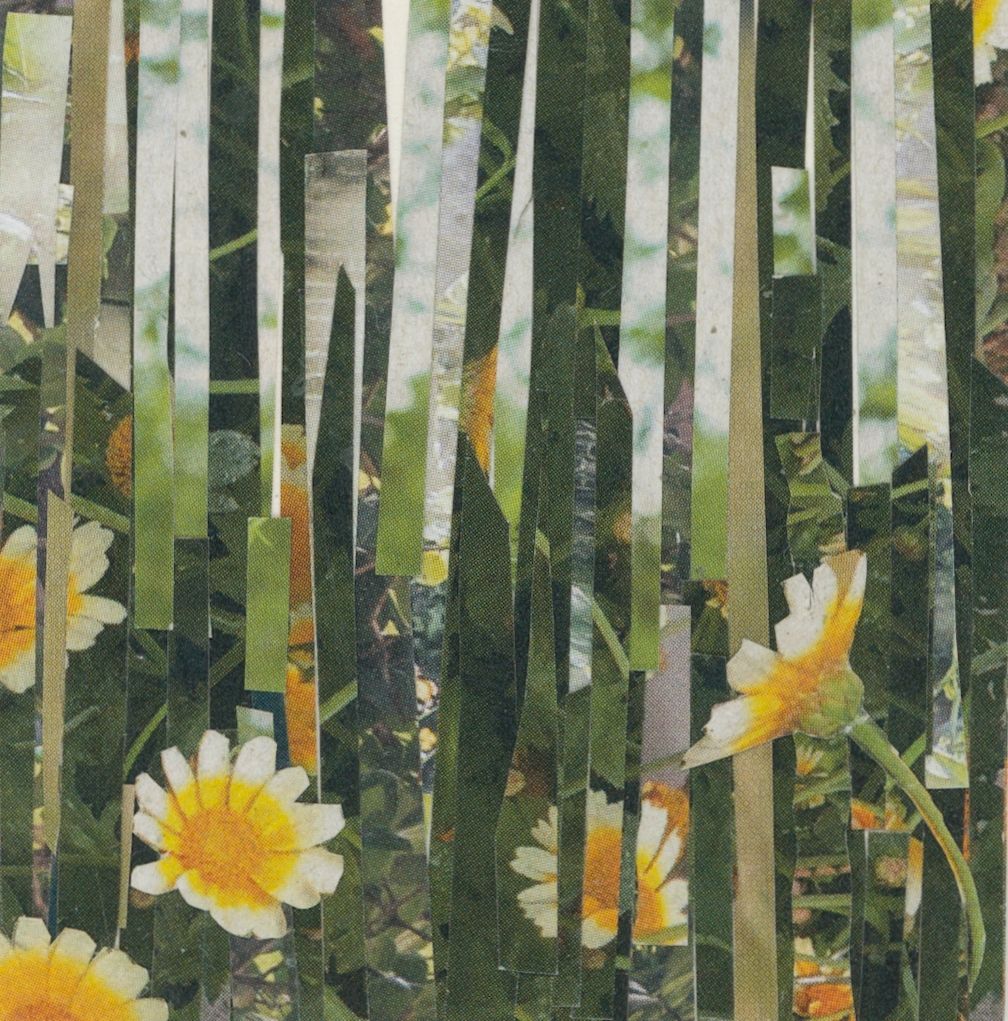 Close-up view of daisy-like flowers with yellow centers and white petals amongst green stems, created with layered strips.