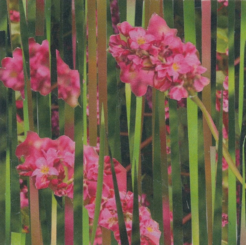 Pink flowers peek through vertical green stripes.