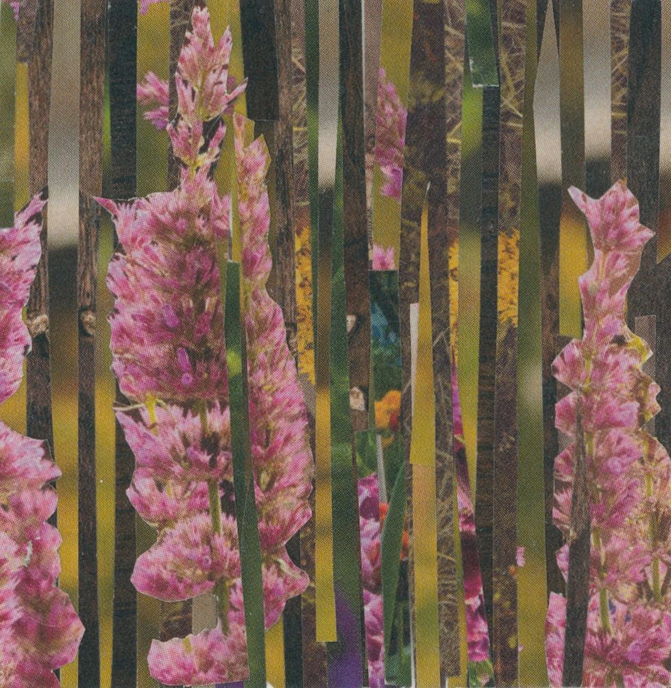 Pink wildflowers through vertical strips, creating a layered, textured view.