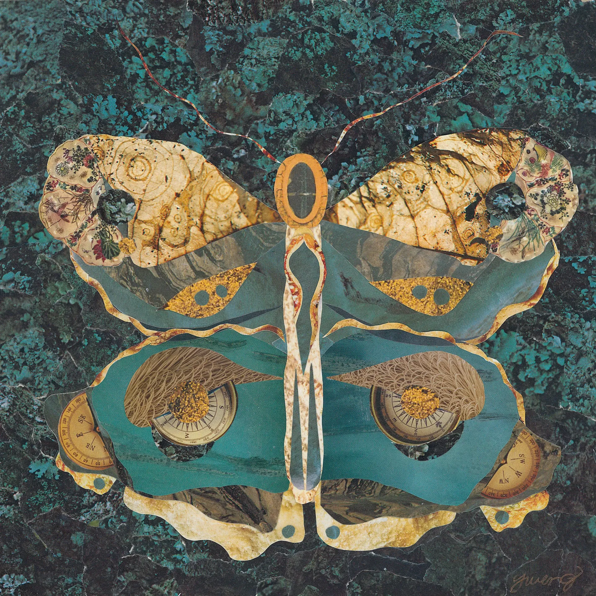 Butterfly art, teal and gold colors, with intricate textures.